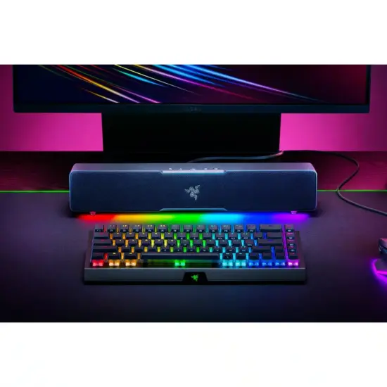 Razer - Leviathan V2 X RBG Soundbar Speaker Front View RGB